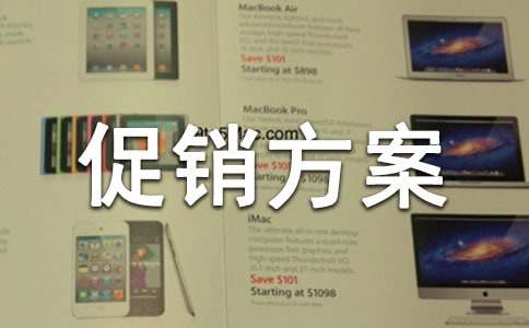 实用的促销方案模板集锦九篇