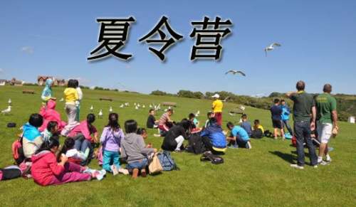 夏令营教授推荐信集合10篇