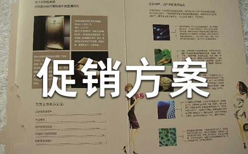 (必备)促销方案9篇