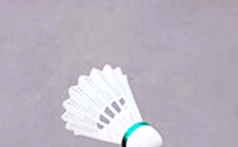 羽毛球比赛方案(集合15篇)