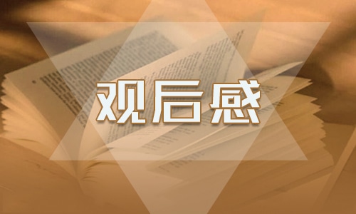 缅怀烈士观后感 缅怀烈士观后感