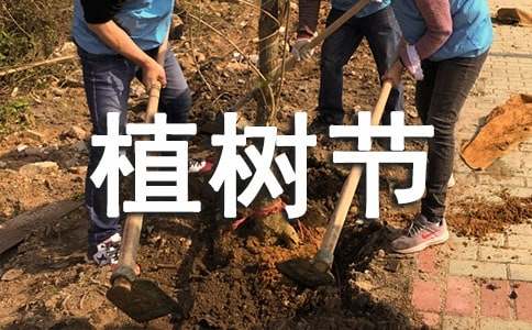 植树节活动方案集锦15篇