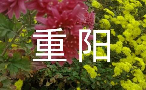 中班重阳的活动方案15篇