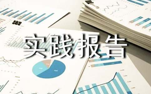 运输物流实践报告