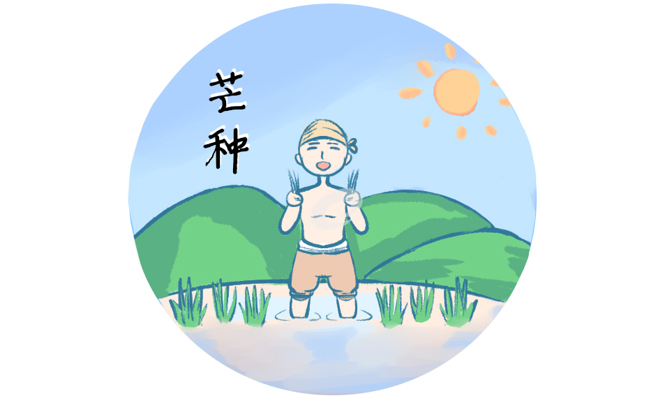 芒种的由来和传说故事 芒种的由来和传说故事