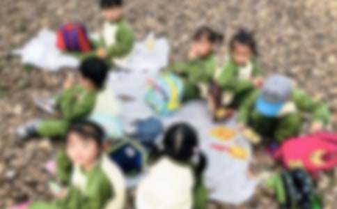 秋游活动方案【热门】