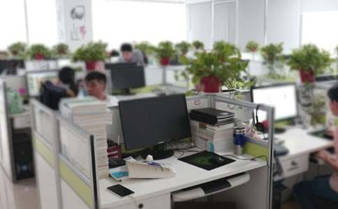 办公室文员社会实践报告