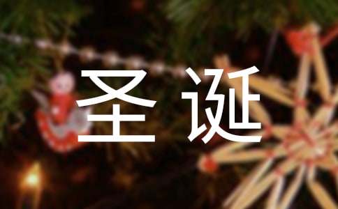 圣诞节活动方案15篇