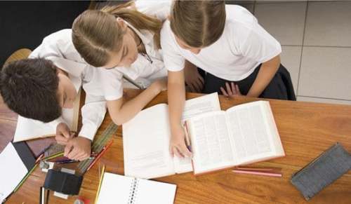 新课标学习心得体会范文