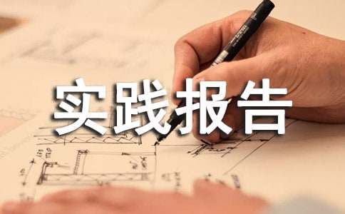 食品促销实践报告