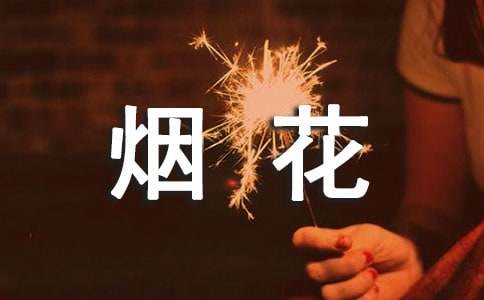 烟花爆竹安全专项整治方案