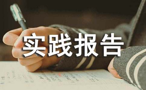 社会实践报告(集锦15篇)