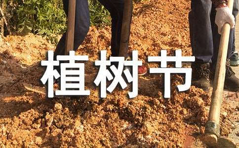 植树节演讲稿精选14篇