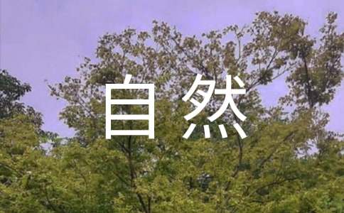 保护自然环境建议书