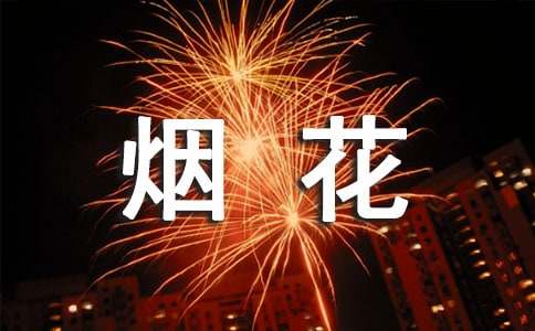 烟花爆竹清查方案