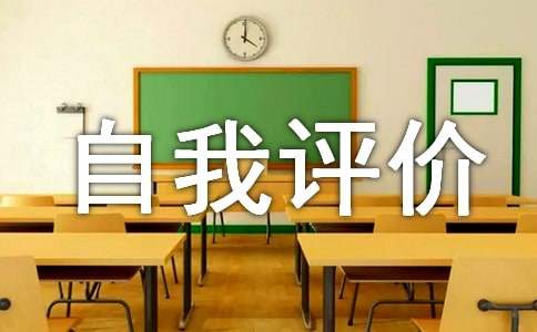 工作能力自我评价