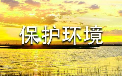 个人保护环境建议书