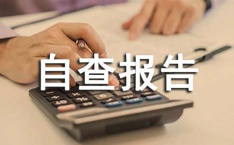 自检自查报告