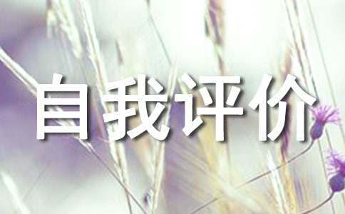 项目经理的自我评价