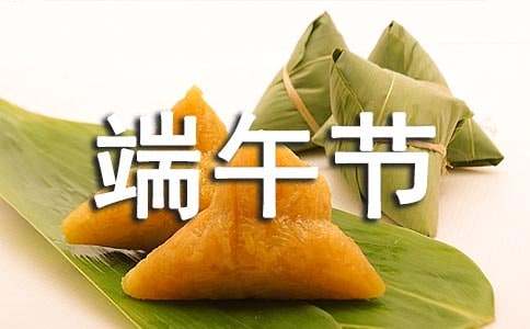 【推荐】端午节活动方案模板锦集七篇