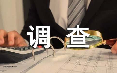 低头族调查报告8篇