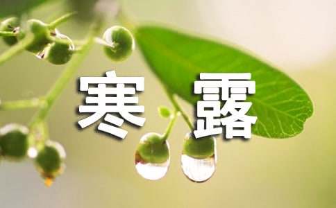 寒露节气朋友圈说说