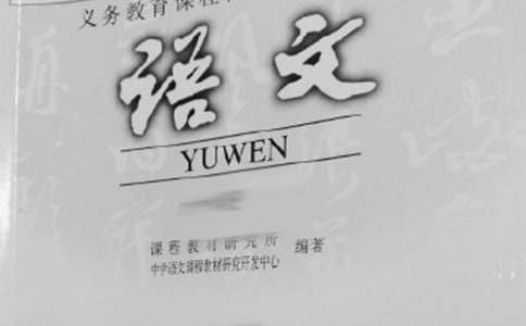 语文教学调查报告