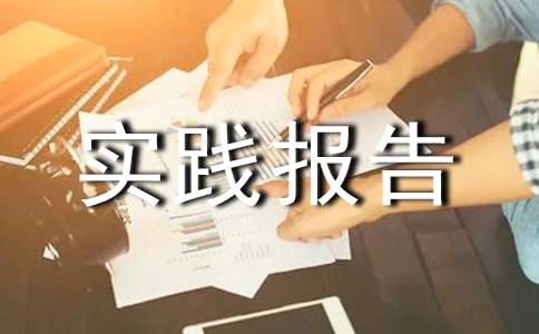 师范生实践报告范文