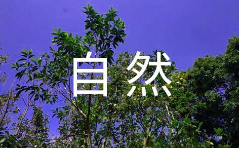 国家自然科学基金专家推荐信