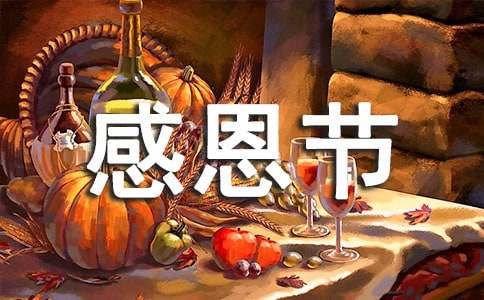 感恩节的活动方案14篇