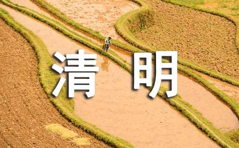 幼儿园清明节活动方案汇编15篇