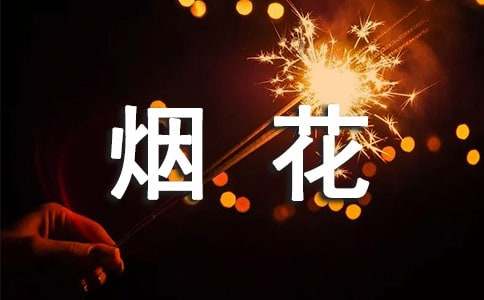 烟花爆竹整治方案