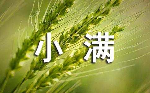 小满的朋友圈文案