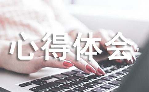 2023课程设计心得体会
