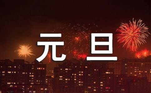 小学生元旦安全的保证书
