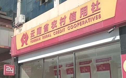 农村信用社述职报告