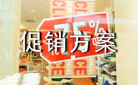 (精)促销方案模板