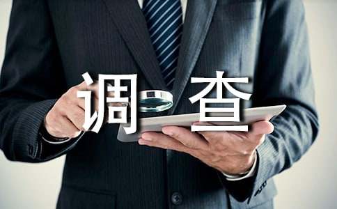 尽职调查报告
