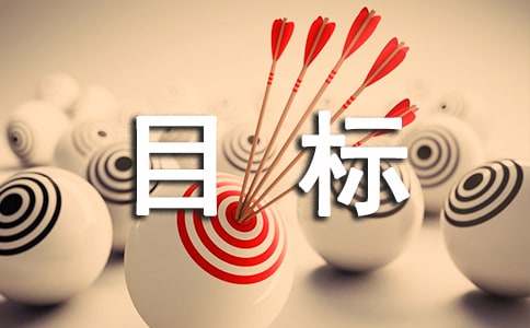 目标管理自查报告