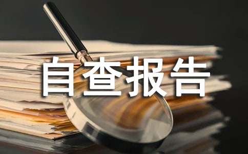 应急管理自查报告