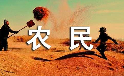 农民工问题调查报告