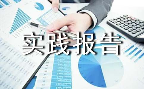 寒假实践报告(15篇)