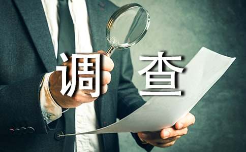 网络流行语的调查报告