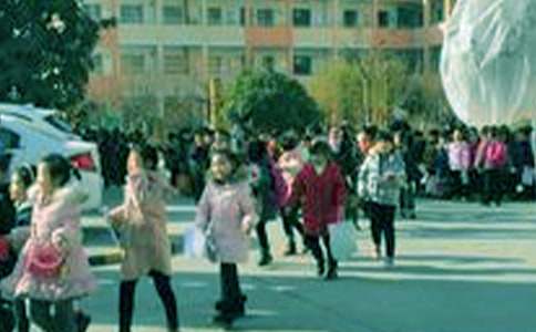 小学生寒假活动方案(11篇)