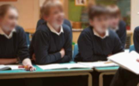 关于小学生的建议书