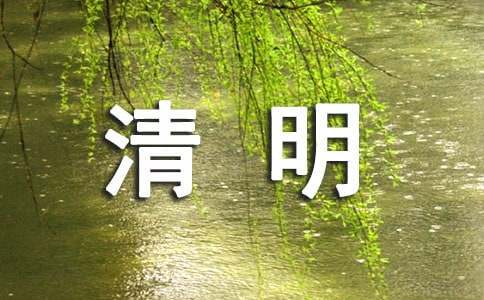 幼儿园清明节活动方案(合集15篇)
