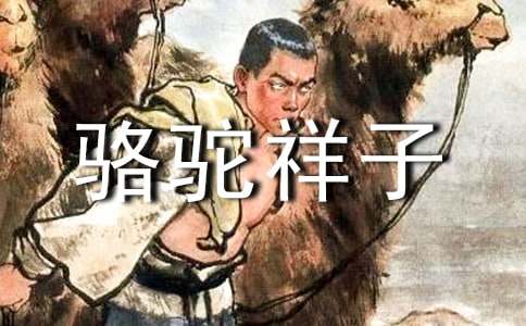 《骆驼祥子》读书心得体会