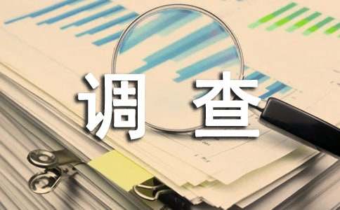 村经济调查报告