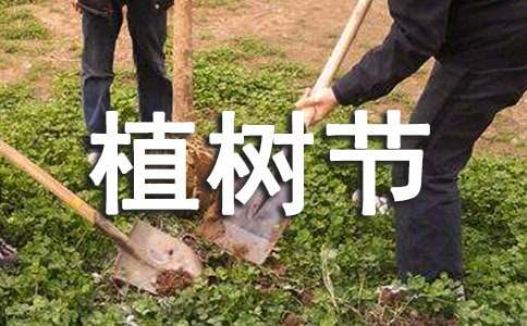 植树节主题活动方案(通用14篇)