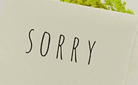 给同学的道歉信精选15篇